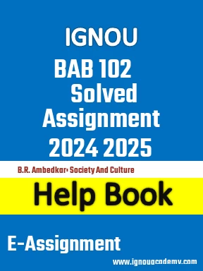 IGNOU BAB 102 Solved Assignment 2024 2025